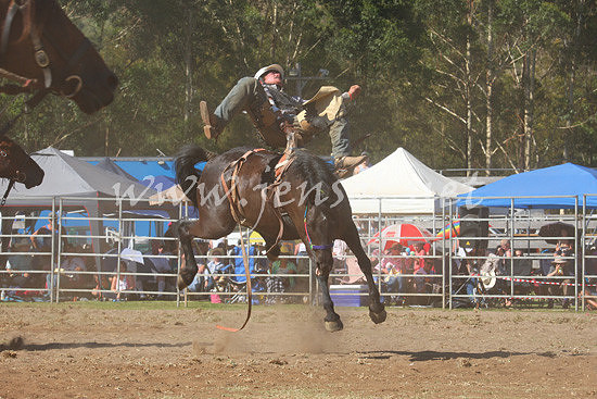 pictonrodeo2013one_0613