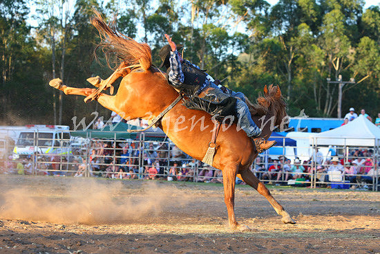 pictonrodeo2013two_0101