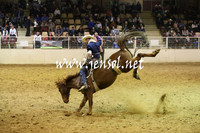 RDAug2013_0654