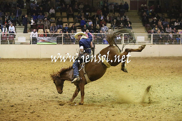 RDAug2013_0654