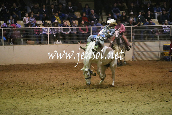 RDAug2013_0663