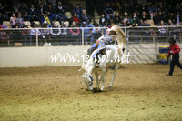 RDAug2013_0662