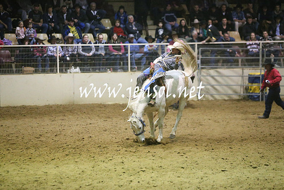 RDAug2013_0662