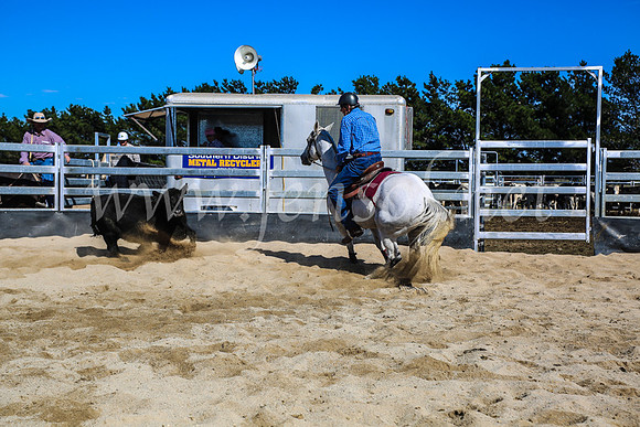 GoulburnCampdraft2017_7432