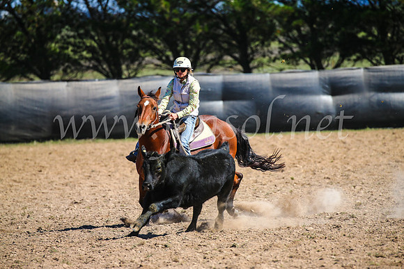GoulburnCampdraft2017_6136