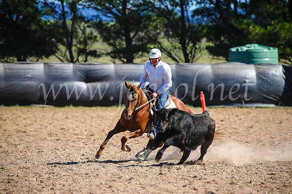 GoulburnCampdraft2017_6281