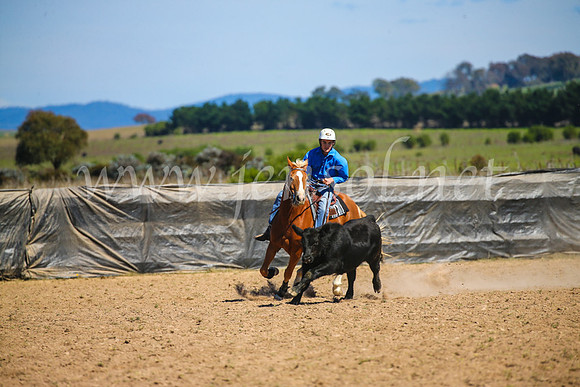 GoulburnCampdraft2017_6194