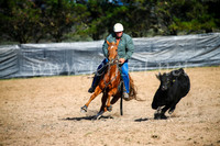 GoulburnCampdraft2017_6038