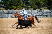 GoulburnCampdraft2017_6003