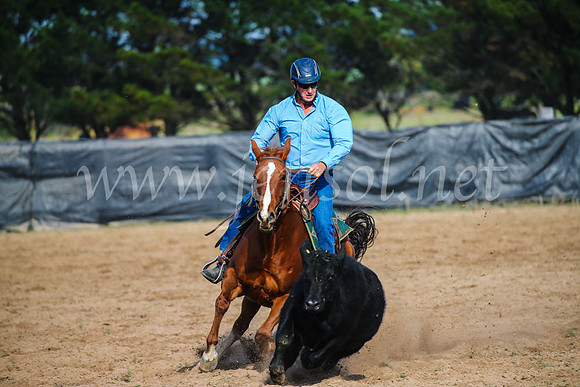 GoulburnCampdraft2017_6016