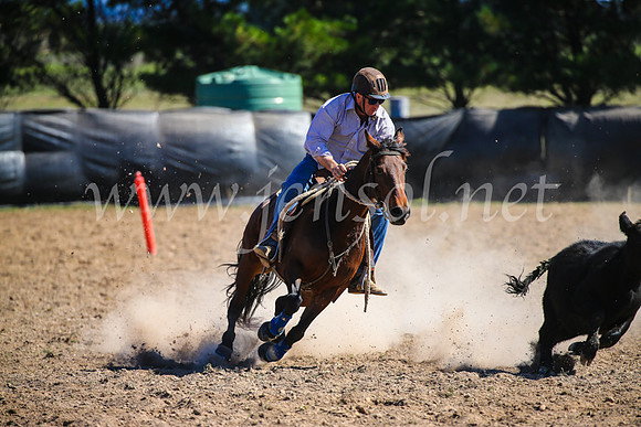 GoulburnCampdraft2017_6366
