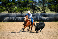 GoulburnCampdraft2017_6091