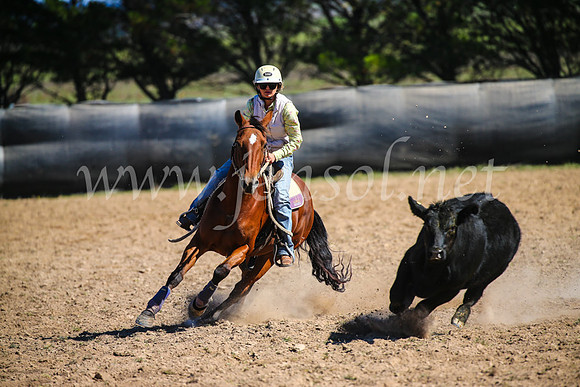 GoulburnCampdraft2017_6150