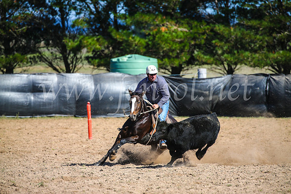 GoulburnCampdraft2017_6074