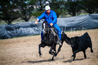 GoulburnCampdraft2017_6045