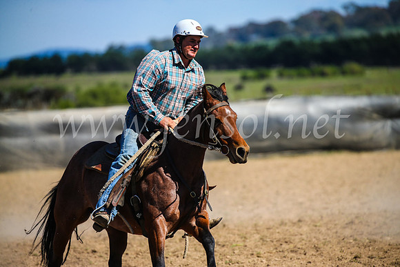 GoulburnCampdraft2017_6402