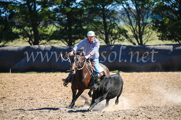 GoulburnCampdraft2017_6259