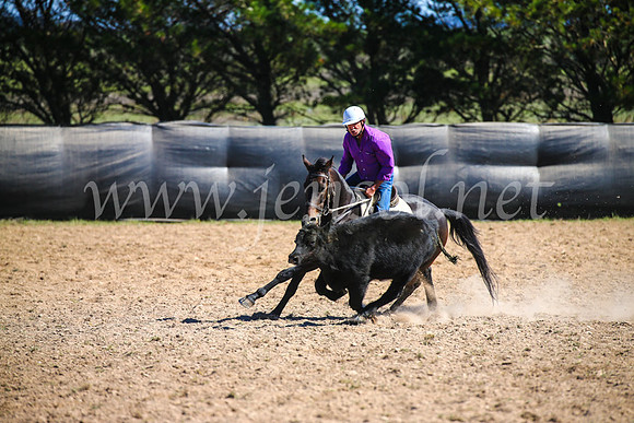 GoulburnCampdraft2017_6237