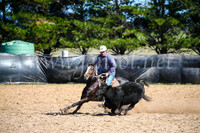 GoulburnCampdraft2017_6070