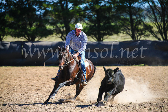 GoulburnCampdraft2017_6258