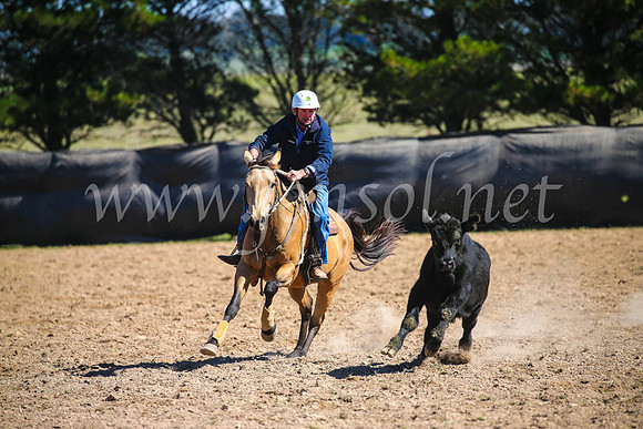 GoulburnCampdraft2017_6117