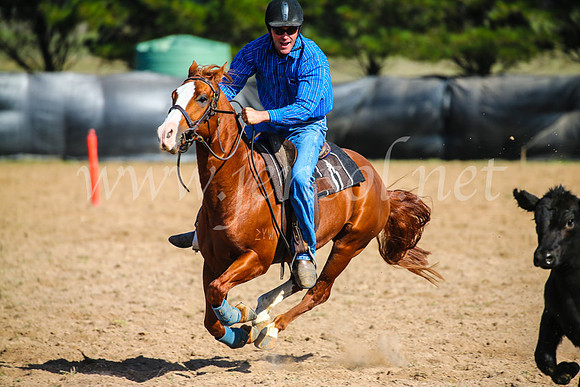 GoulburnCampdraft2017_6112