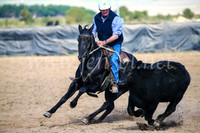 GoulburnCampdraft2017_6057