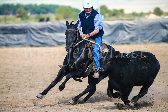 GoulburnCampdraft2017_6057