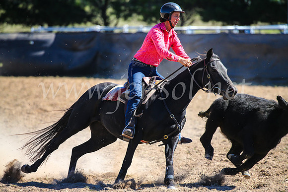 GoulburnCampdraft2017_6351
