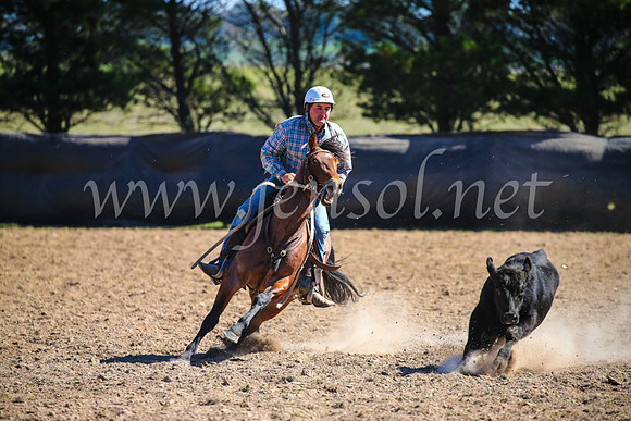 GoulburnCampdraft2017_6383