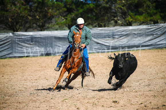 GoulburnCampdraft2017_6039