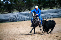 GoulburnCampdraft2017_6050