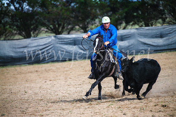 GoulburnCampdraft2017_6050