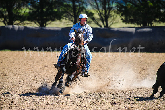 GoulburnCampdraft2017_6311