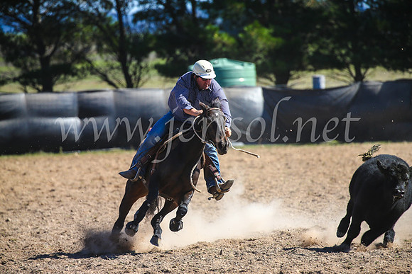 GoulburnCampdraft2017_6414