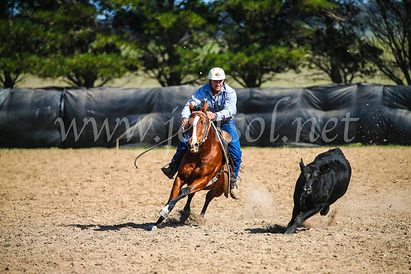 GoulburnCampdraft2017_6099