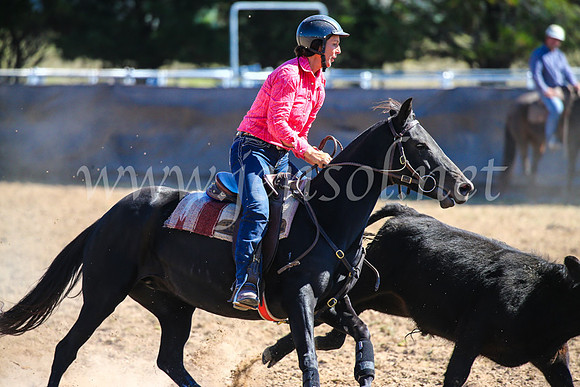 GoulburnCampdraft2017_6347
