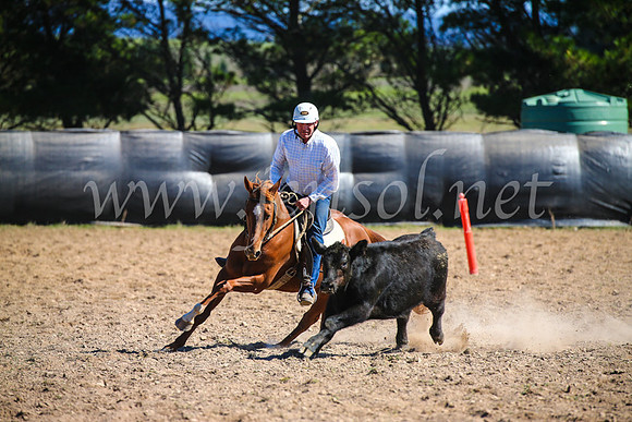 GoulburnCampdraft2017_6274