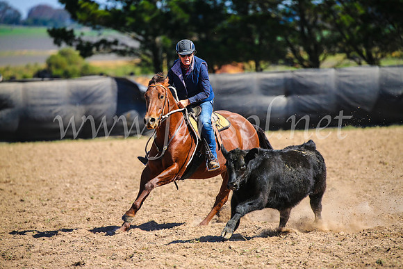 GoulburnCampdraft2017_6433