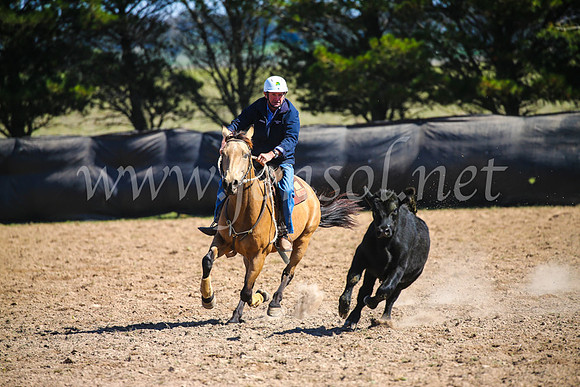 GoulburnCampdraft2017_6119