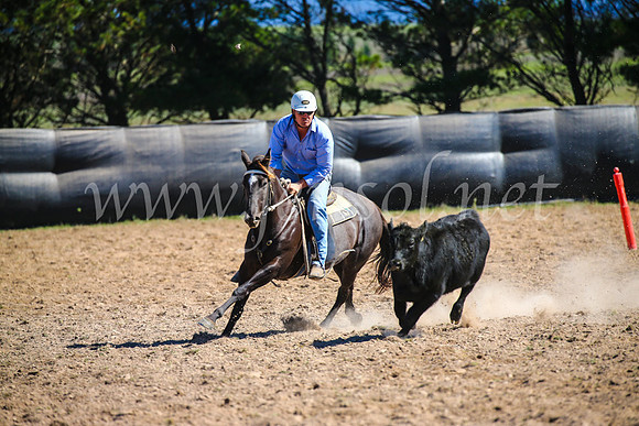 GoulburnCampdraft2017_6368