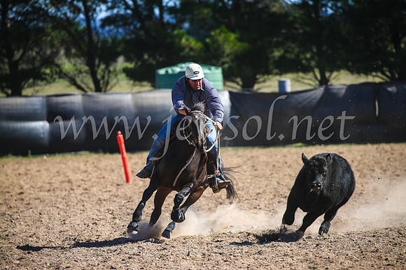 GoulburnCampdraft2017_6423