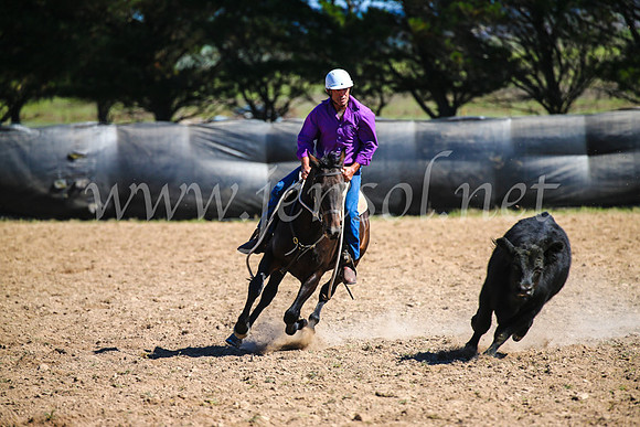 GoulburnCampdraft2017_6230
