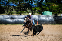 GoulburnCampdraft2017_6072