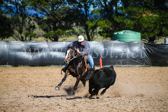 GoulburnCampdraft2017_6072