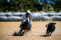 GoulburnCampdraft2017_6085