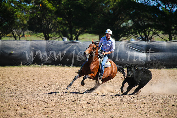 GoulburnCampdraft2017_6301