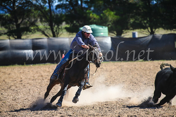 GoulburnCampdraft2017_6416
