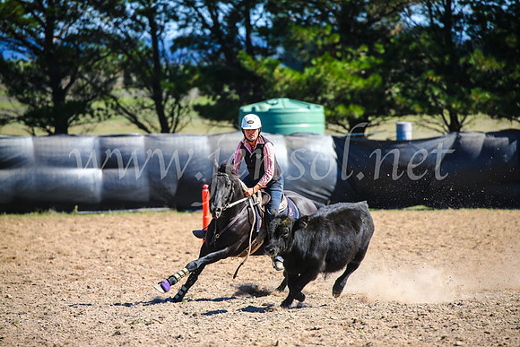 GoulburnCampdraft2017_6155