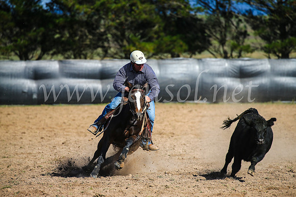 GoulburnCampdraft2017_6087